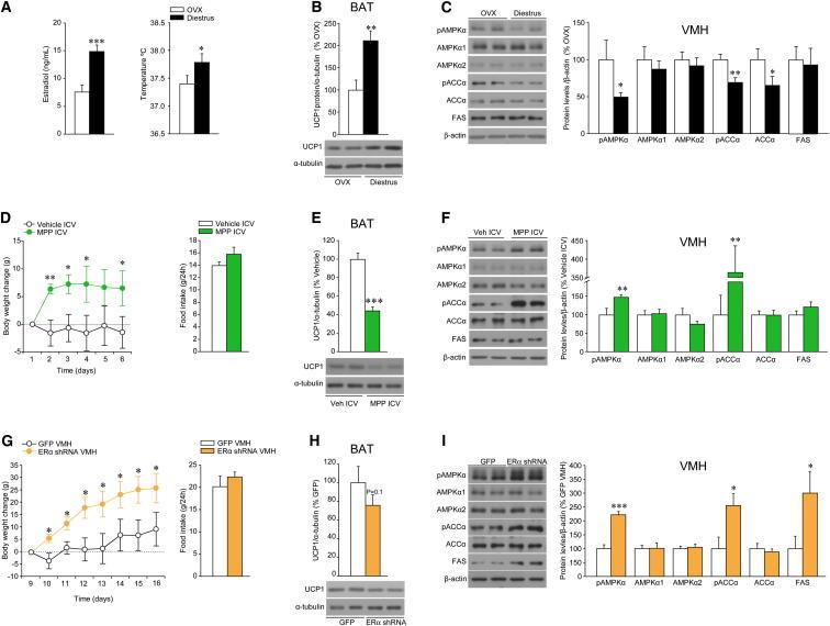https://cdn.ncbi.nlm.nih.gov/pmc/blobs/ec48/4082097/89ea8adf507c/gr7.jpg