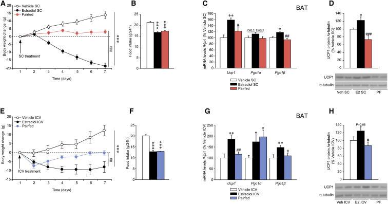 https://cdn.ncbi.nlm.nih.gov/pmc/blobs/ec48/4082097/8ab5470e616a/gr2.jpg