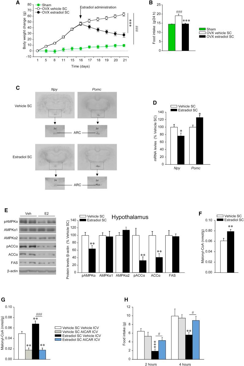 https://cdn.ncbi.nlm.nih.gov/pmc/blobs/ec48/4082097/9b7bc65ed9d3/gr1.jpg