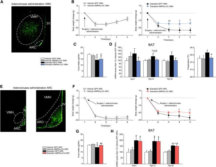 https://cdn.ncbi.nlm.nih.gov/pmc/blobs/ec48/4082097/c29253bfc138/gr6.jpg