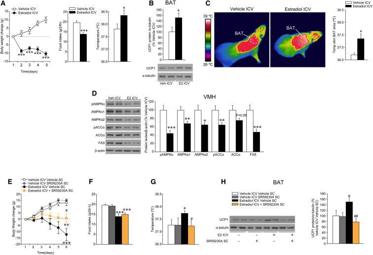 https://cdn.ncbi.nlm.nih.gov/pmc/blobs/ec48/4082097/fec9cf53d0c8/gr4.jpg