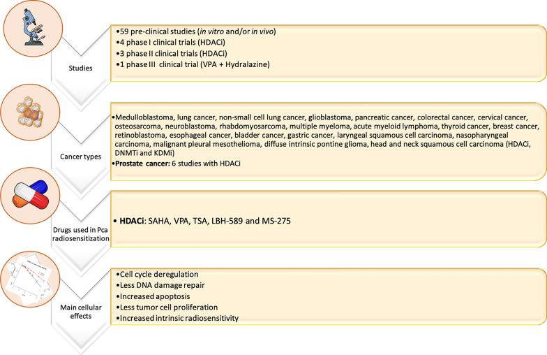 https://cdn.ncbi.nlm.nih.gov/pmc/blobs/ec48/8186094/a6d79bbeca07/13148_2021_1111_Fig4_HTML.jpg
