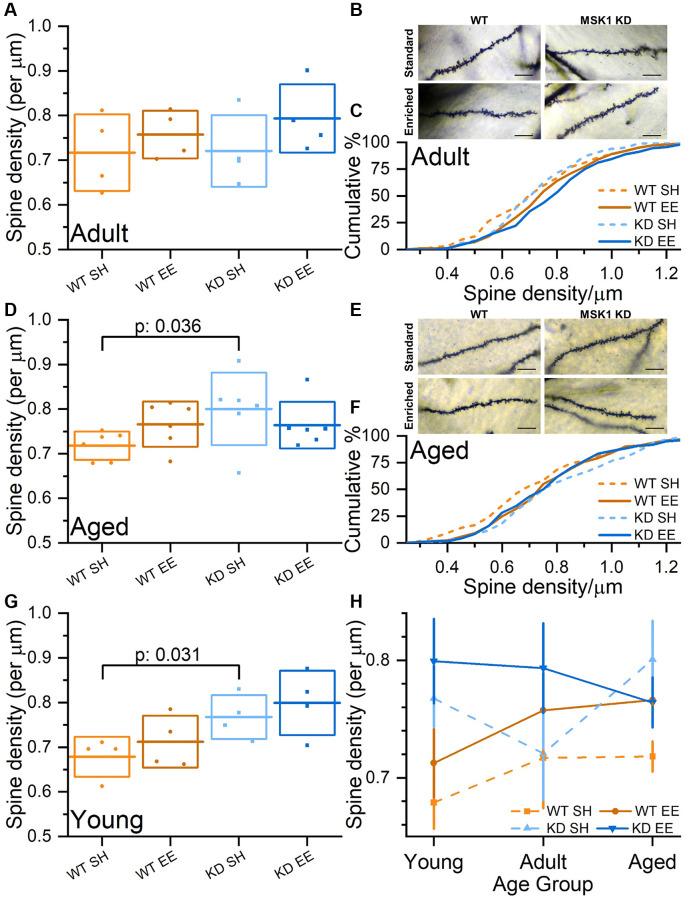 https://cdn.ncbi.nlm.nih.gov/pmc/blobs/ec49/10373962/bab3b3bb0cfe/aging-15-204833-g009.jpg