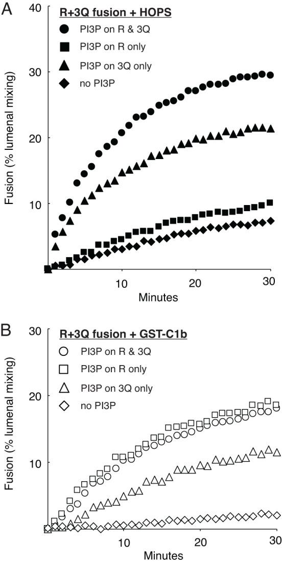 https://cdn.ncbi.nlm.nih.gov/pmc/blobs/ec4a/10011722/f5df7e3f9a7f/mbc-34-ar17-g007.jpg