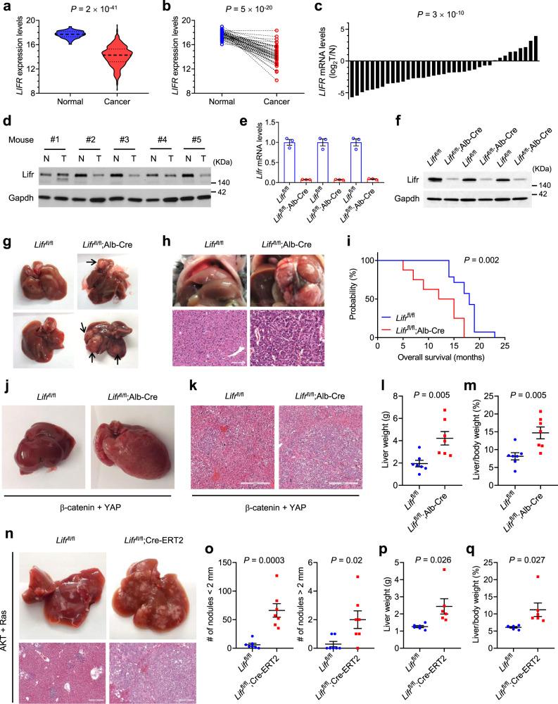 https://cdn.ncbi.nlm.nih.gov/pmc/blobs/ec4c/8683481/66ba956a707f/41467_2021_27452_Fig1_HTML.jpg
