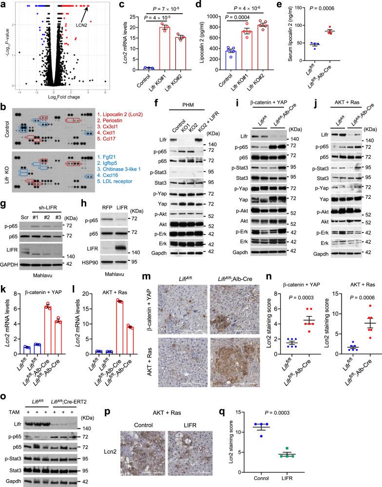 https://cdn.ncbi.nlm.nih.gov/pmc/blobs/ec4c/8683481/bb7fbb51d121/41467_2021_27452_Fig3_HTML.jpg