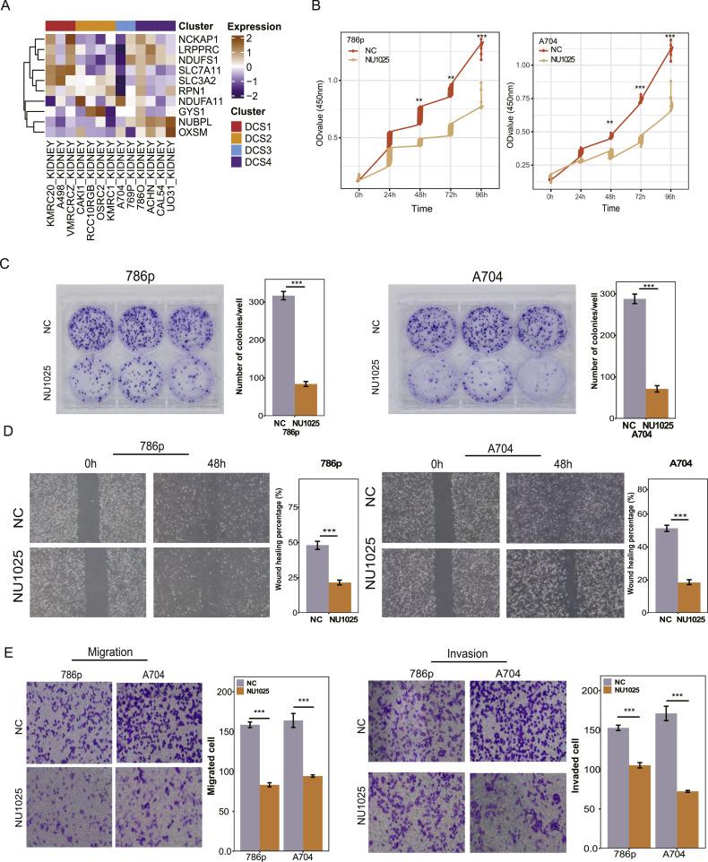 https://cdn.ncbi.nlm.nih.gov/pmc/blobs/ec51/11401502/3f6df2330f3b/gr8.jpg