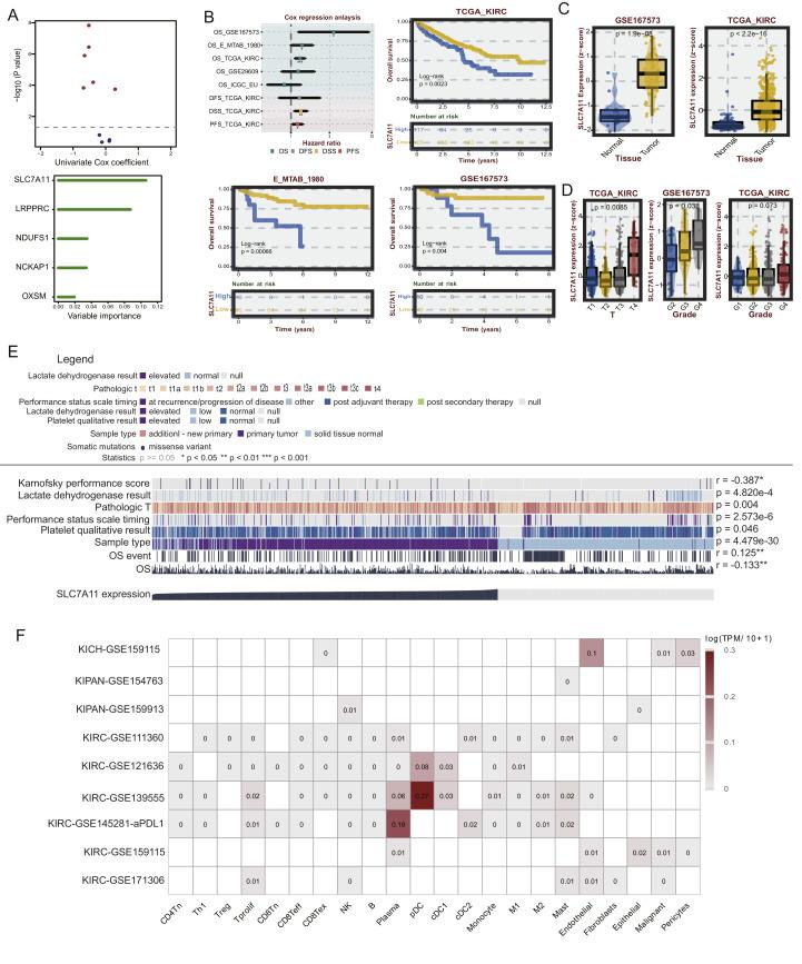 https://cdn.ncbi.nlm.nih.gov/pmc/blobs/ec51/11401502/ff08572ce010/gr9.jpg