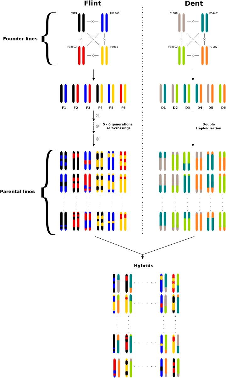 https://cdn.ncbi.nlm.nih.gov/pmc/blobs/ec51/5669627/2388b5a0904c/1167fig1.jpg