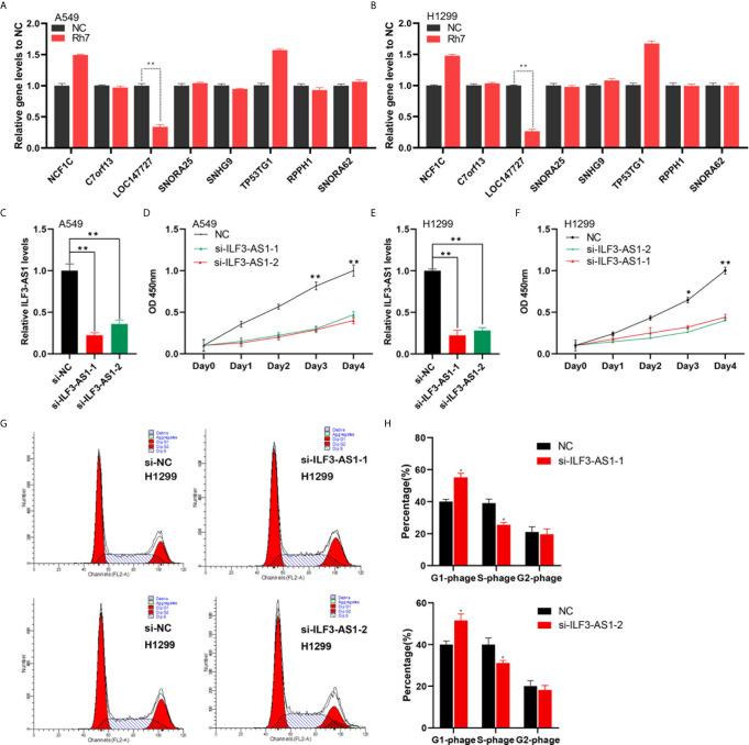 https://cdn.ncbi.nlm.nih.gov/pmc/blobs/ec51/8116958/b095a442f93a/fonc-11-656132-g006.jpg