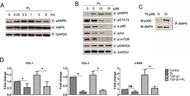 https://cdn.ncbi.nlm.nih.gov/pmc/blobs/ec52/5347738/7910a8d023d9/oncotarget-07-82864-g006.jpg