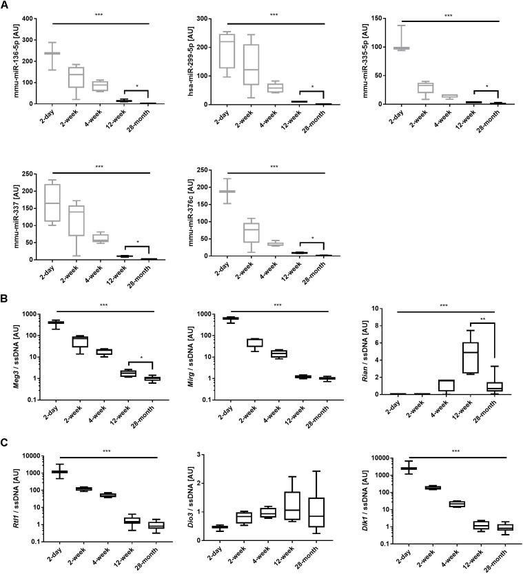 https://cdn.ncbi.nlm.nih.gov/pmc/blobs/ec52/6250799/28534048b8cb/fgene-09-00548-g005.jpg