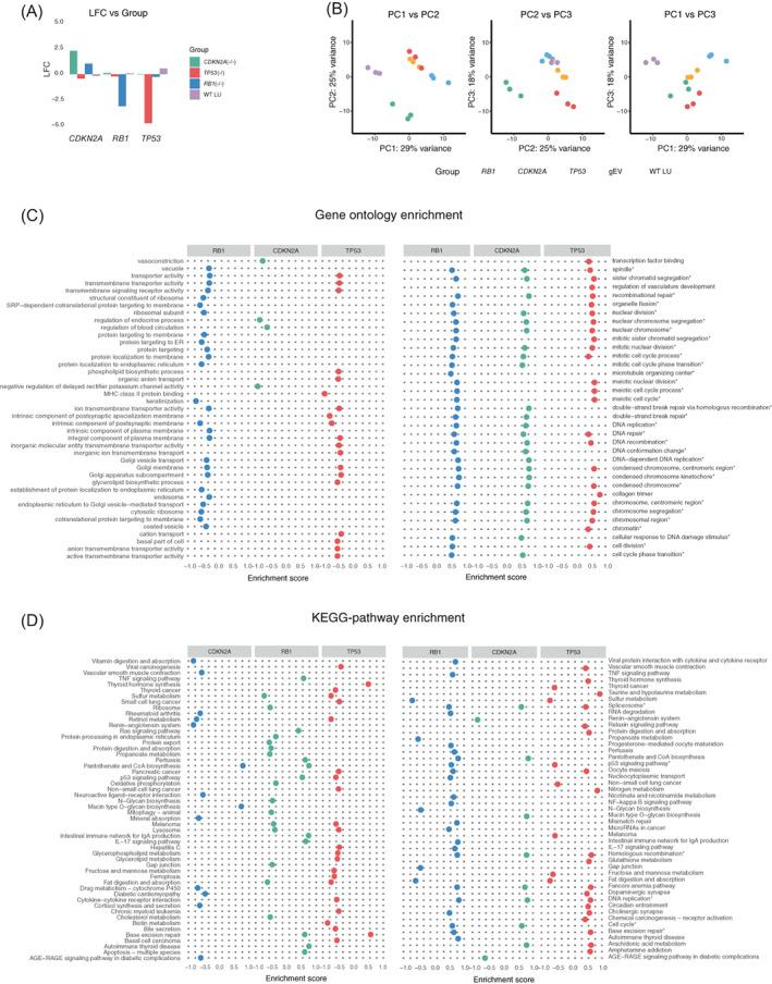 https://cdn.ncbi.nlm.nih.gov/pmc/blobs/ec54/10091693/00d1381a3de1/GCC-62-93-g001.jpg