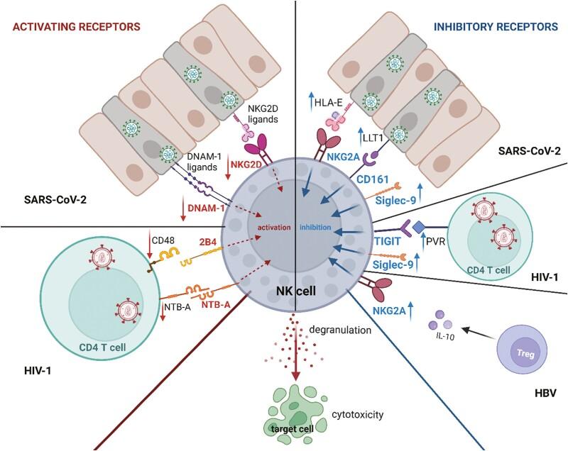 https://cdn.ncbi.nlm.nih.gov/pmc/blobs/ec54/11239562/71649e7d5a72/uxae045_fig3.jpg