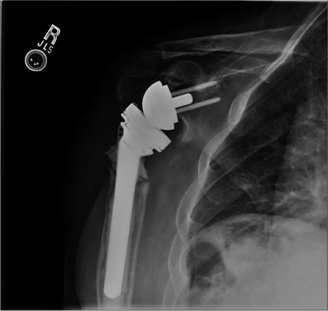 https://cdn.ncbi.nlm.nih.gov/pmc/blobs/ec56/10382412/9004ff56d0c2/12178_2023_9843_Fig2_HTML.jpg