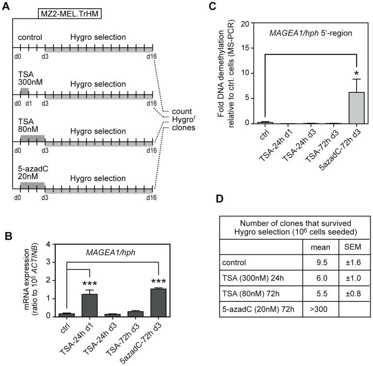 https://cdn.ncbi.nlm.nih.gov/pmc/blobs/ec57/3589373/15b22344c9b7/pone.0058743.g004.jpg