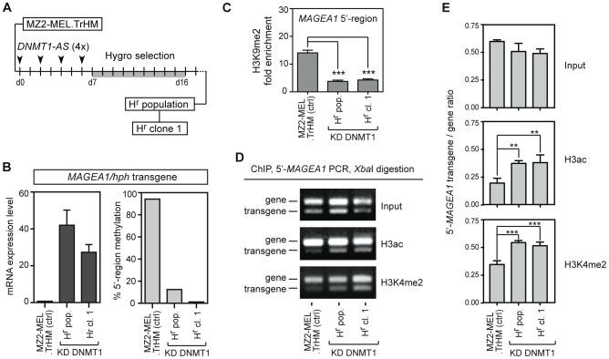 https://cdn.ncbi.nlm.nih.gov/pmc/blobs/ec57/3589373/62ee06e2a74d/pone.0058743.g005.jpg