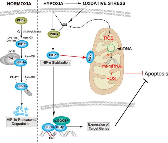 https://cdn.ncbi.nlm.nih.gov/pmc/blobs/ec57/6859547/6d7adbed2290/fx1.jpg