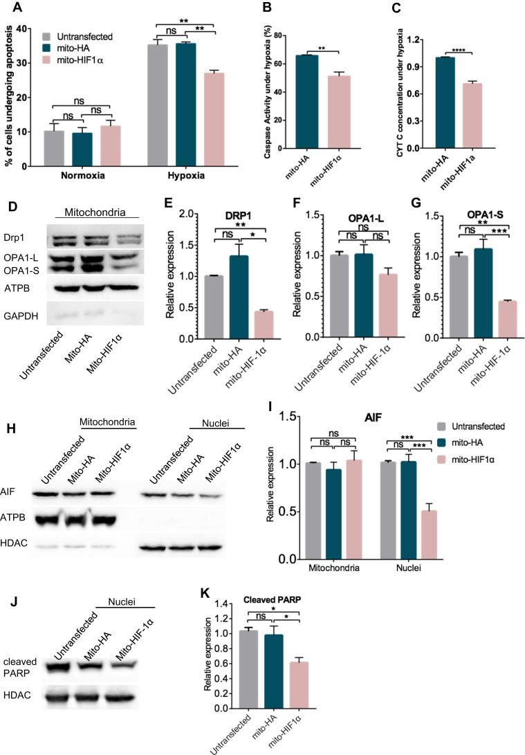 https://cdn.ncbi.nlm.nih.gov/pmc/blobs/ec57/6859547/87466b9125c6/gr3.jpg