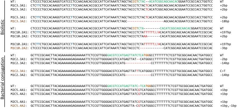 https://cdn.ncbi.nlm.nih.gov/pmc/blobs/ec58/6158232/19d4d240b193/41598_2018_32342_Fig4_HTML.jpg