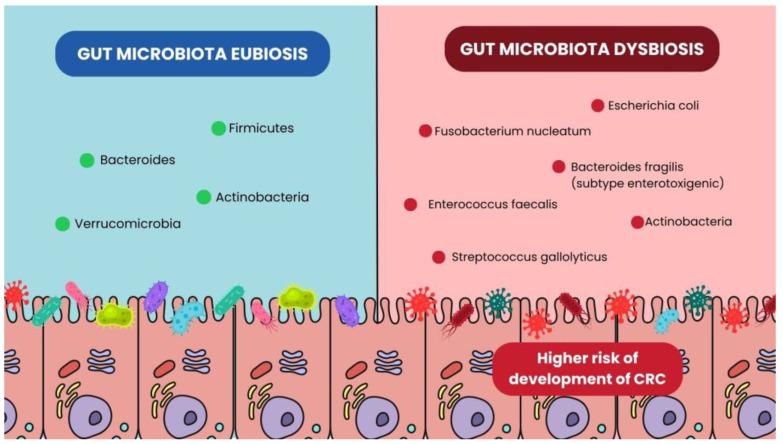 https://cdn.ncbi.nlm.nih.gov/pmc/blobs/ec59/12195752/2533f92f914f/microorganisms-13-01410-g001.jpg