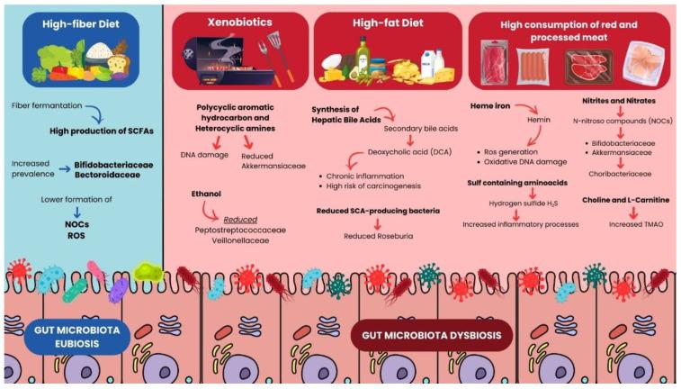 https://cdn.ncbi.nlm.nih.gov/pmc/blobs/ec59/12195752/fda8a13fe14b/microorganisms-13-01410-g002.jpg