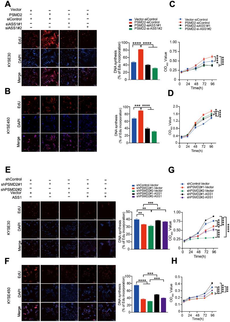 https://cdn.ncbi.nlm.nih.gov/pmc/blobs/ec5a/10061715/d6c193f805d5/13578_2023_1016_Fig5_HTML.jpg