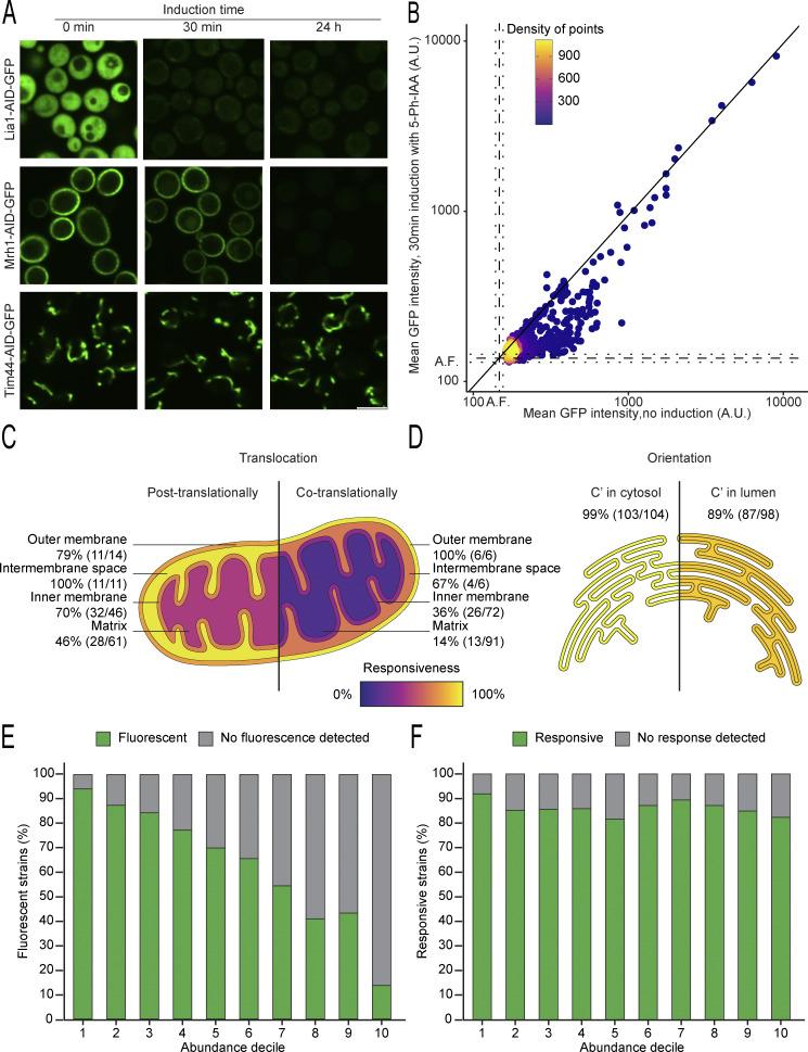https://cdn.ncbi.nlm.nih.gov/pmc/blobs/ec5c/11654244/5f7f02846139/jcb_202409050_figs2.jpg