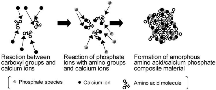 https://cdn.ncbi.nlm.nih.gov/pmc/blobs/ec5c/4598679/36043644c3e0/jfb-06-00708-g006.jpg