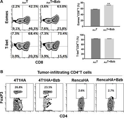 https://cdn.ncbi.nlm.nih.gov/pmc/blobs/ec5c/5352426/8295efed883d/oncotarget-08-8604-g010.jpg