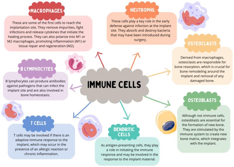 https://cdn.ncbi.nlm.nih.gov/pmc/blobs/ec5d/10743591/ef1ab9ddbef9/ijms-24-17620-g008.jpg