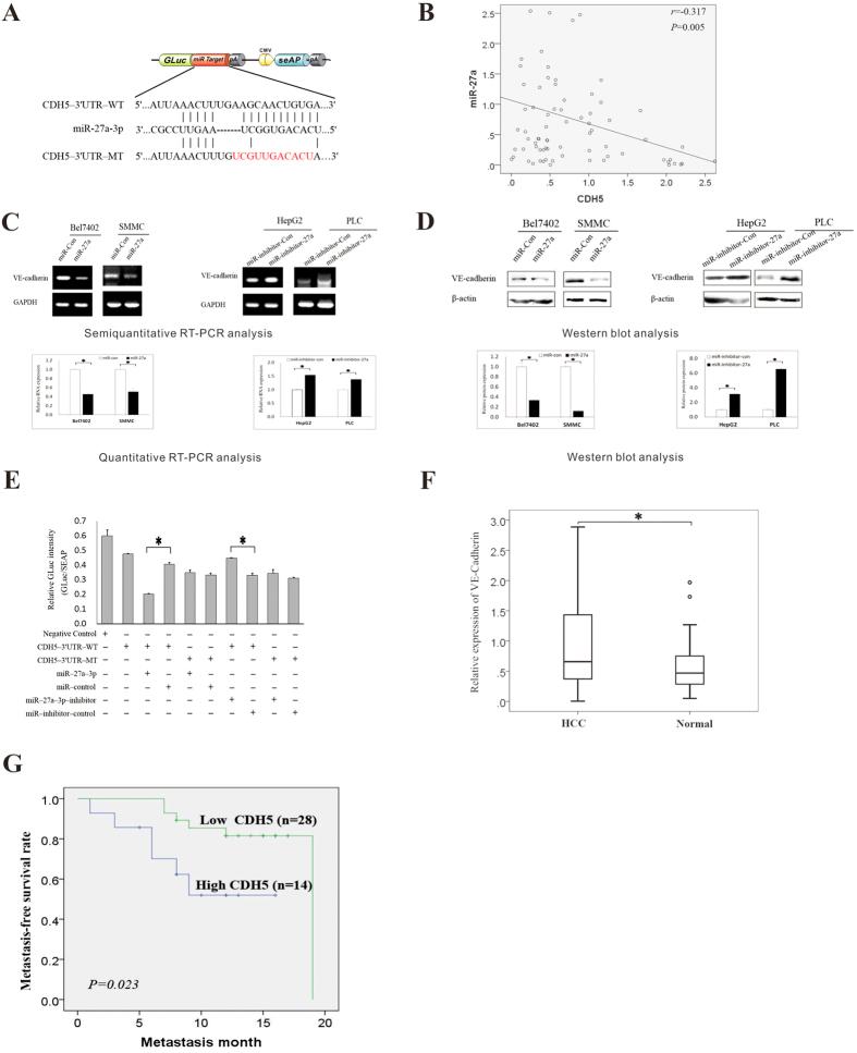 https://cdn.ncbi.nlm.nih.gov/pmc/blobs/ec5e/4793289/79a36e2014f7/srep23091-f5.jpg