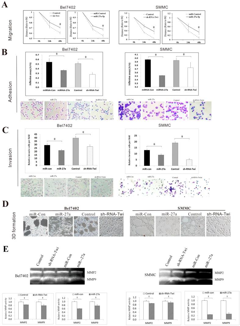 https://cdn.ncbi.nlm.nih.gov/pmc/blobs/ec5e/4793289/9e38c855b9eb/srep23091-f3.jpg