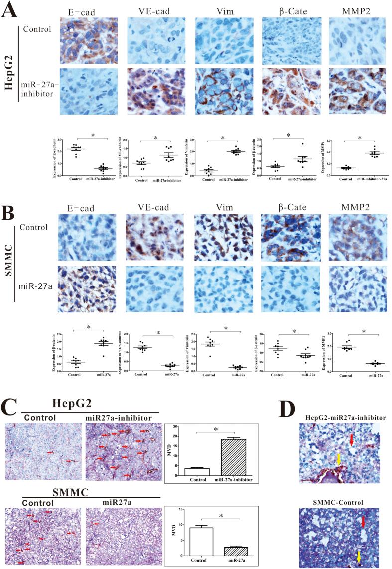https://cdn.ncbi.nlm.nih.gov/pmc/blobs/ec5e/4793289/c0108c10eec0/srep23091-f8.jpg