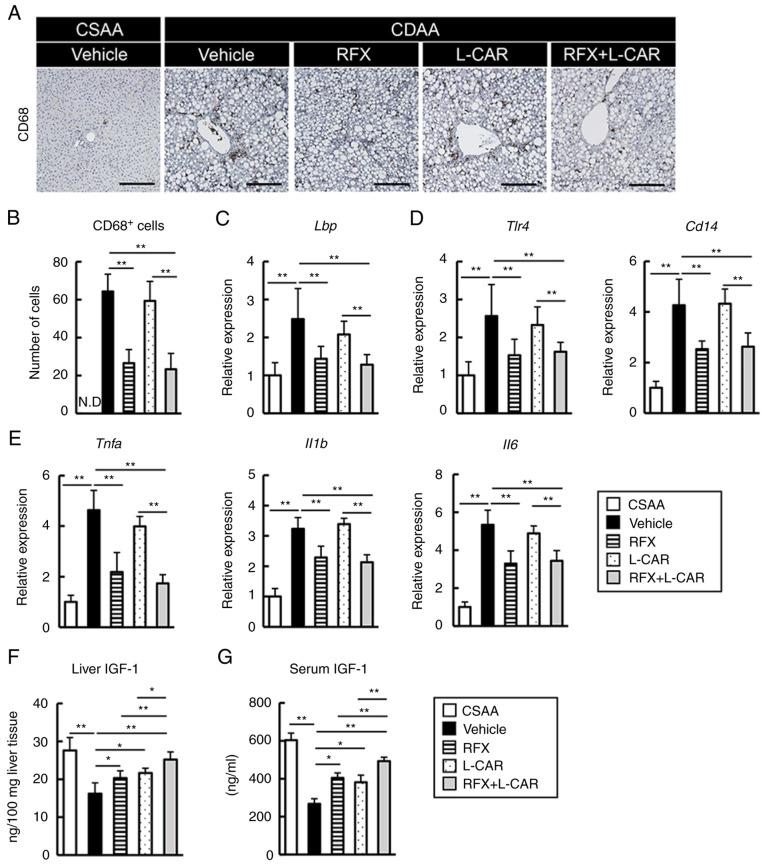 https://cdn.ncbi.nlm.nih.gov/pmc/blobs/ec5f/9242656/df344d981ab6/IJMM-50-02-05157-g01.jpg