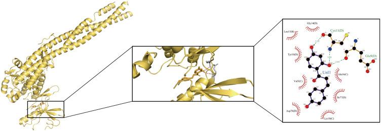 https://cdn.ncbi.nlm.nih.gov/pmc/blobs/ec60/12079120/112437118dd8/JIR-18-6133-g0009.jpg
