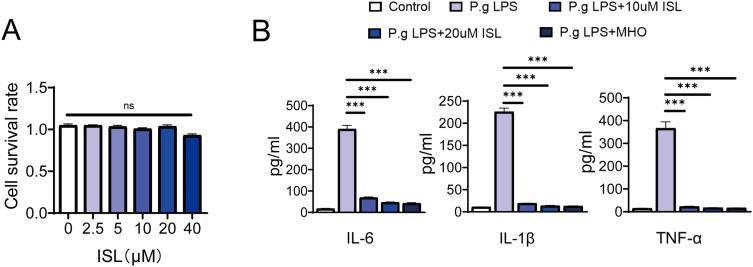 https://cdn.ncbi.nlm.nih.gov/pmc/blobs/ec60/12079120/6defe7a67b12/JIR-18-6133-g0004.jpg