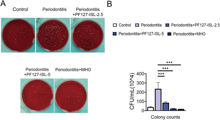 https://cdn.ncbi.nlm.nih.gov/pmc/blobs/ec60/12079120/9513b4494e31/JIR-18-6133-g0007.jpg