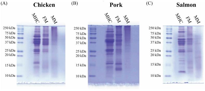 https://cdn.ncbi.nlm.nih.gov/pmc/blobs/ec60/7916219/dc2c1c1f784c/animals-11-00458-g004.jpg