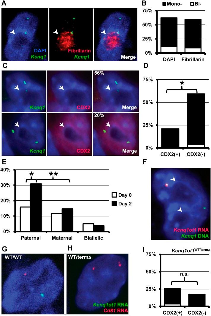 https://cdn.ncbi.nlm.nih.gov/pmc/blobs/ec62/3516474/b8f0a06220e7/1521f1.jpg