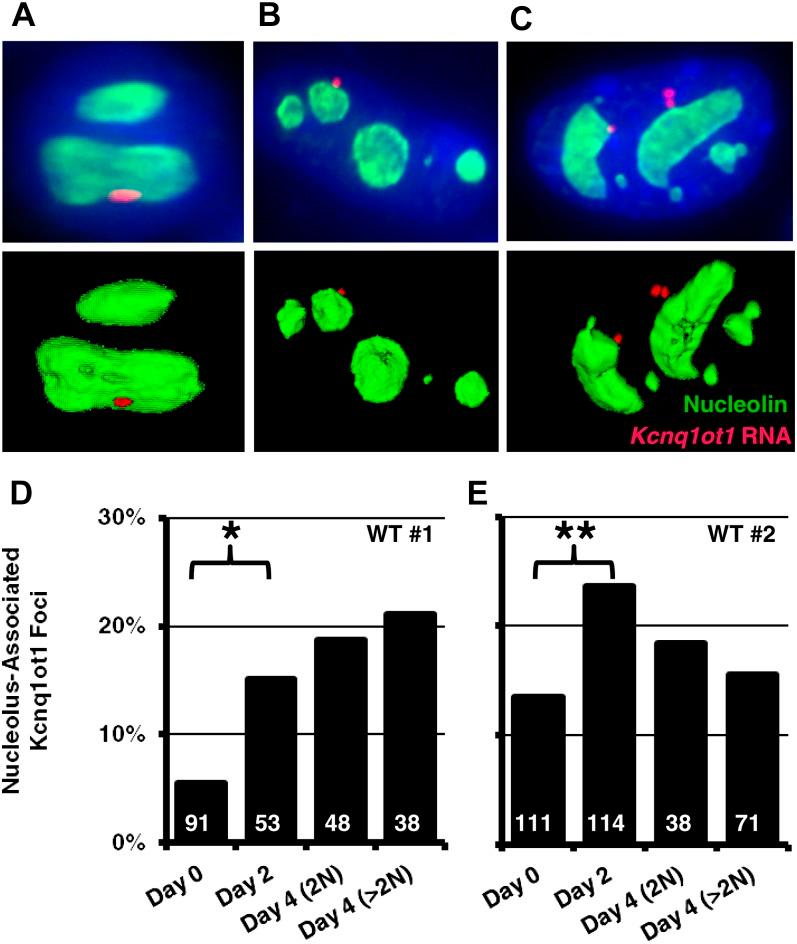 https://cdn.ncbi.nlm.nih.gov/pmc/blobs/ec62/3516474/e8f8d045e8f5/1521f2.jpg