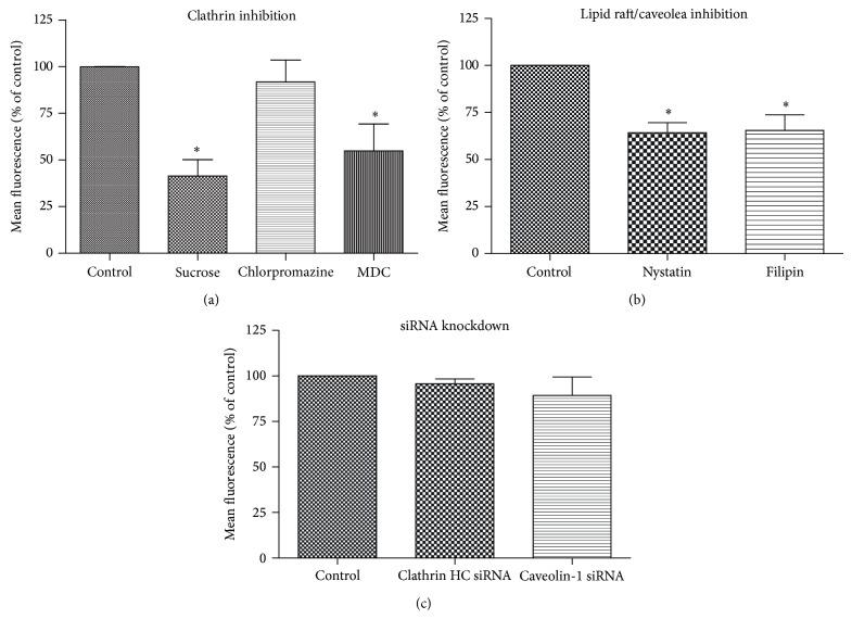 https://cdn.ncbi.nlm.nih.gov/pmc/blobs/ec63/4391616/85b525ed8275/BMRI2015-834079.007.jpg