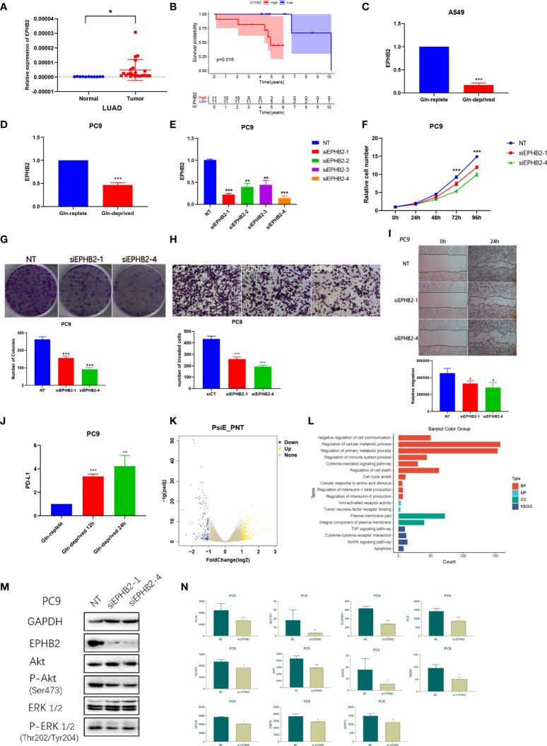 https://cdn.ncbi.nlm.nih.gov/pmc/blobs/ec63/9403193/56cfdad1c59b/fimmu-13-960738-g013.jpg