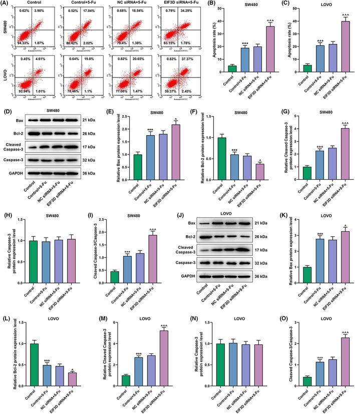 https://cdn.ncbi.nlm.nih.gov/pmc/blobs/ec63/9937894/0ee9200a5df4/JCLA-37-e24825-g004.jpg