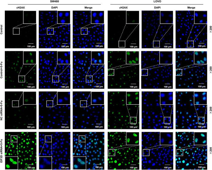 https://cdn.ncbi.nlm.nih.gov/pmc/blobs/ec63/9937894/1c020b0d6389/JCLA-37-e24825-g007.jpg