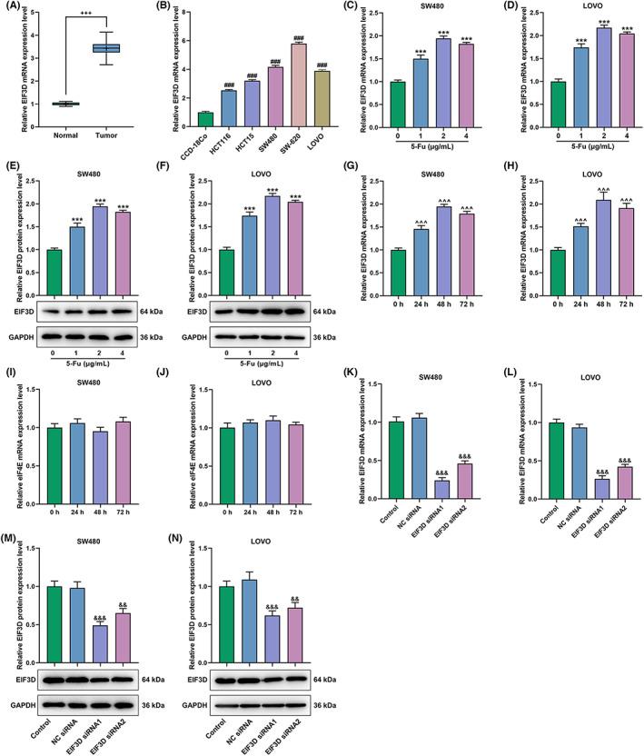 https://cdn.ncbi.nlm.nih.gov/pmc/blobs/ec63/9937894/1ccb42baf5a9/JCLA-37-e24825-g009.jpg
