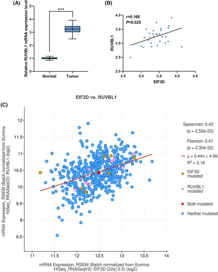 https://cdn.ncbi.nlm.nih.gov/pmc/blobs/ec63/9937894/6600856b1818/JCLA-37-e24825-g006.jpg
