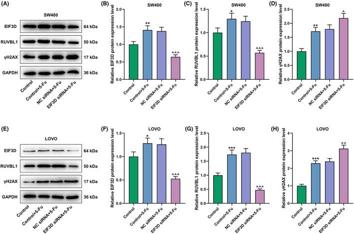 https://cdn.ncbi.nlm.nih.gov/pmc/blobs/ec63/9937894/c7e24eb36963/JCLA-37-e24825-g005.jpg