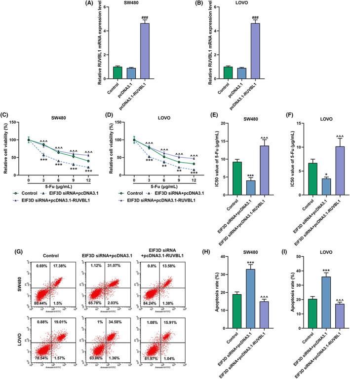 https://cdn.ncbi.nlm.nih.gov/pmc/blobs/ec63/9937894/d2c701af9d54/JCLA-37-e24825-g010.jpg
