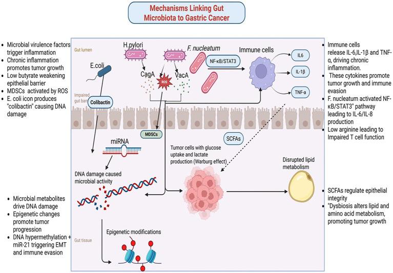 https://cdn.ncbi.nlm.nih.gov/pmc/blobs/ec64/12344422/3bc4df1fe971/fmicb-16-1606924-g002.jpg